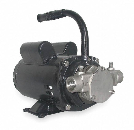 Utility Pump 115/230V AC