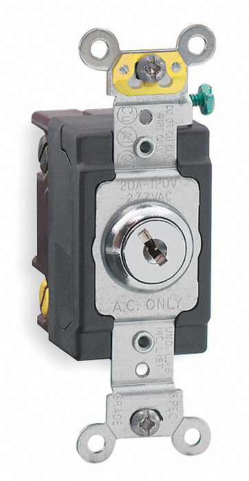 Wall Switch Metallic 20 A Single Pole