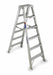 Twin Stepladder Aluminum IA 6 ft T370