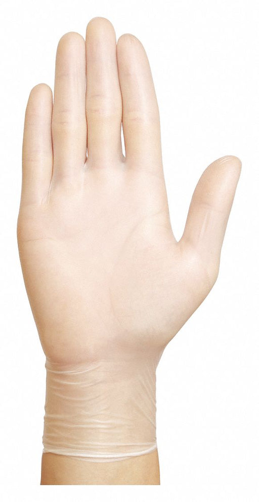 D1856 Disposable Gloves Vinyl M PK100