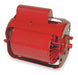 Circulating Pump Motor  1/4 hp 115V AC