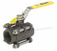 Manual 2-Way Ball Valve NPT Carbon Steel