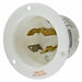 Flg LckInl 30 A White L14-30P Nylon