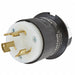 LckPlg Strt 30 A Blk White Nylon 3Blds