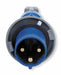 IEC Pin and Sleeve Plug 60 A Blue 2Pl