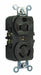 Receptacle Duplex 5-15R 125/250V