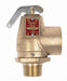 Safety Relief Valve 1 In 15 psi