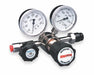 MILLER HCl/HS High Pur Gas Regtr