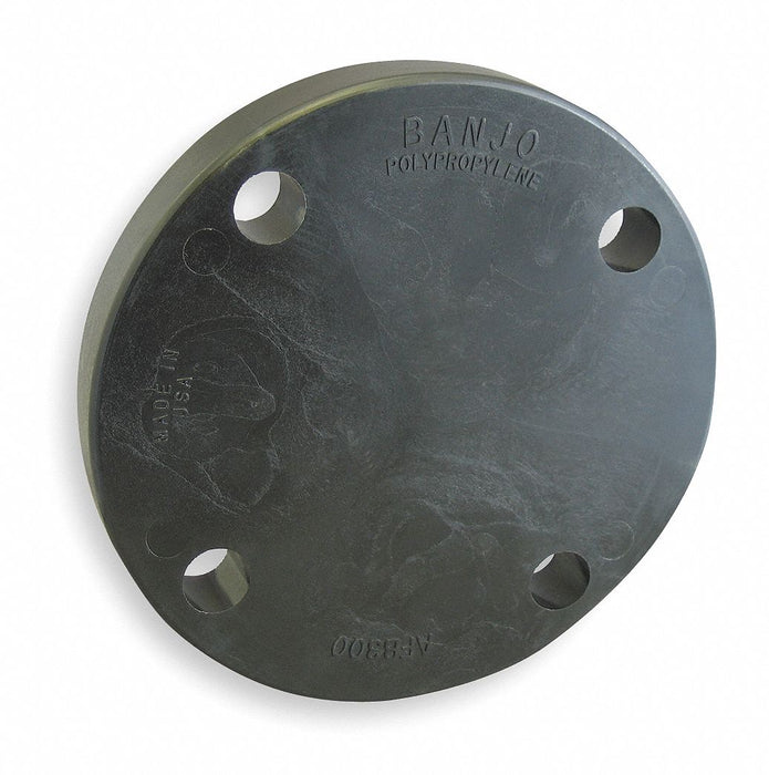 Blind Flange 6 in Schedule 80 Blind
