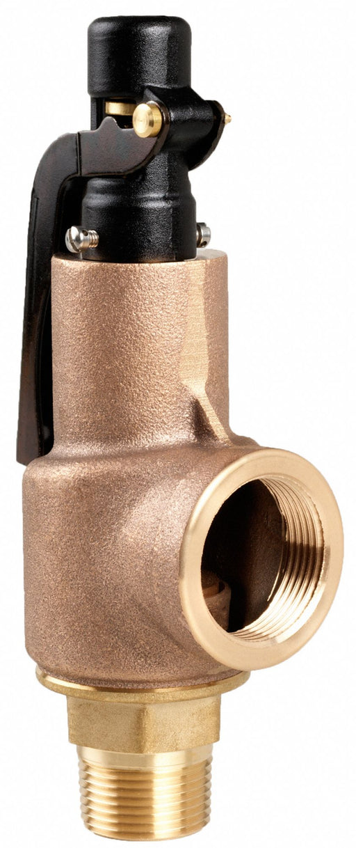 Safety Relief Valve 3/4 x 1 In 175 psi