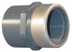 PVC Straight 1/2 in NPT 1/2 in