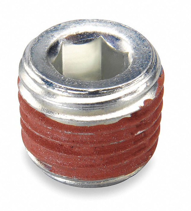 Pipe Plug 1/4 in NPT PK10