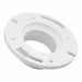 Pipe Flange 1/4 in Schedule 40 Flat