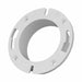Pipe Flange 1/4 in Schedule 40 Flat