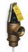 T and P Relief Valve MNPT x FNPT