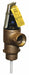 T and P Relief Valve FNPT 3/4 in Inlet