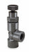 Globe Valve 2 PVC FNPT 150 psi