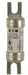 Fuse 15A CIF21 Series 600VAC