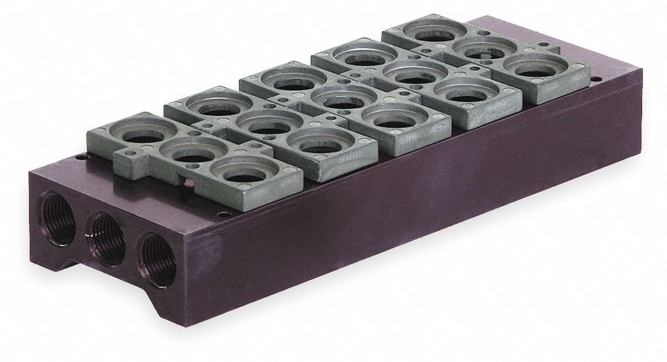 Manifold Assemb 7 15/16 in L 2 3/4 in W
