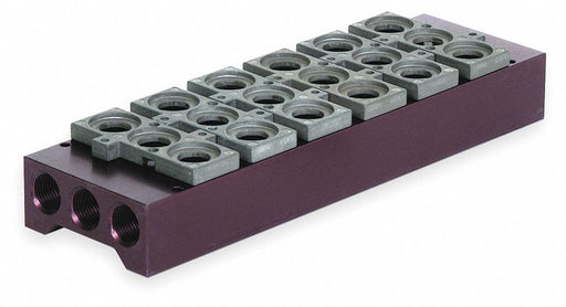 Manifold Assemb 9 3/16 in L 2 3/4 in W