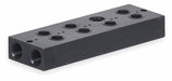 Manifold Assembly 5 in L 4 7/8 in W