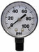 Pressure Gauge 0 to 100 psi 2In 1/4In