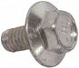 Flange Lock Screw