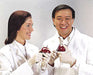 Hairnet Light Brown Universal PK144