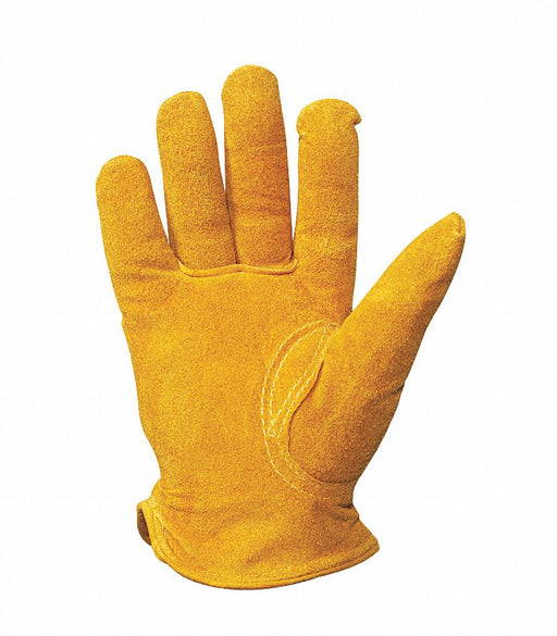 Leather Gloves Youth Age 3 to 6 PR