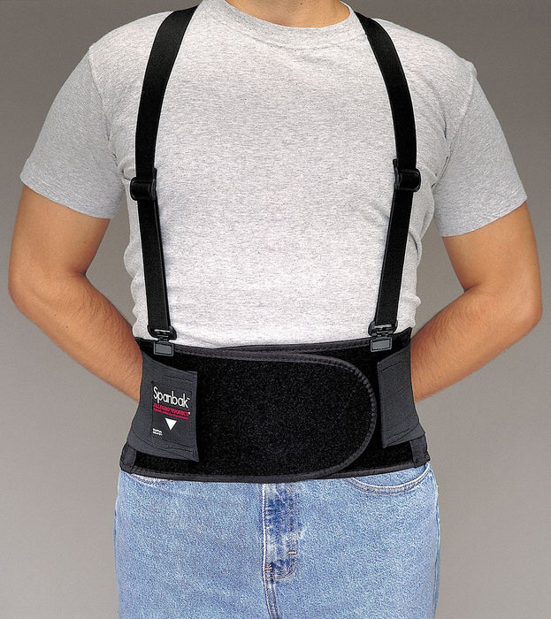 Back Support w/Suspenders Black L