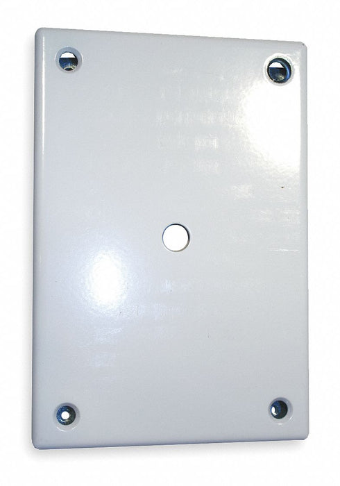 Security Wall Plate White