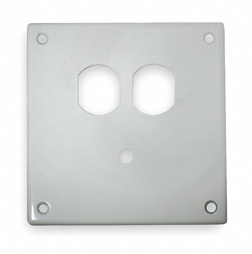 Security Wall Plate White