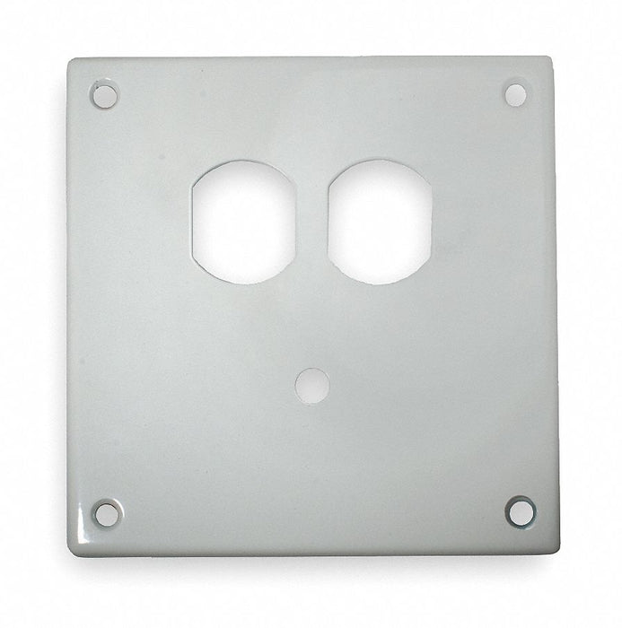 Security Wall Plate White