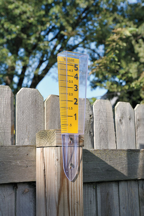 Rain Gauge 0 to 6 in Polycarbonate