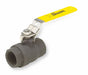 Manual 2-Way Ball Valve NPT Carbon Steel