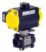 Ball Valve Pneumatic Actuated 2 In