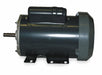 Replacement Motor For Use With 3XK62