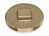 Cleanout Plug 2 Brass 10 psi