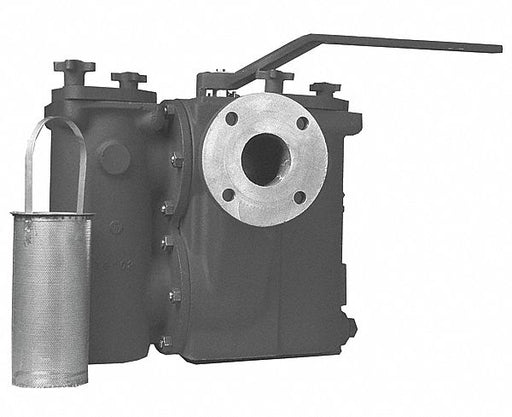 Basket Strainer 35 7/8 in H 200 psi