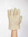 ZetexPlus 200 11 Gloves PR1