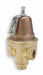 Pressure Regulator 1/2 In 40 to 80 psi