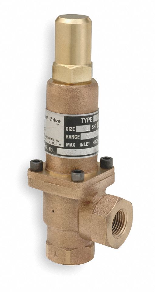 Pressure Relief Valve 3/8 In 100 psi