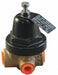 Pressure Regulator 3/8 In 2 to 30 psi