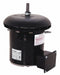 Motor 1/2 HP 1075 rpm 48Y 200-230/460V