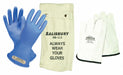 D1031 ElectricalInsulatingGloveKit Sz10 Blu PR