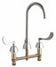 Gooseneck Chrome Chicago Faucets 786