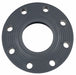 PipeFlange 71/2in Schedule80 Raised