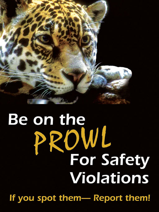 Safety Poster 22 in x 17 in Plastic
