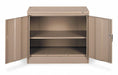 Storage Cabinet 30 x36 x18 Sand 2Shlv