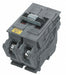 Circuit Breaker 100A Plug In 120/240V 2P